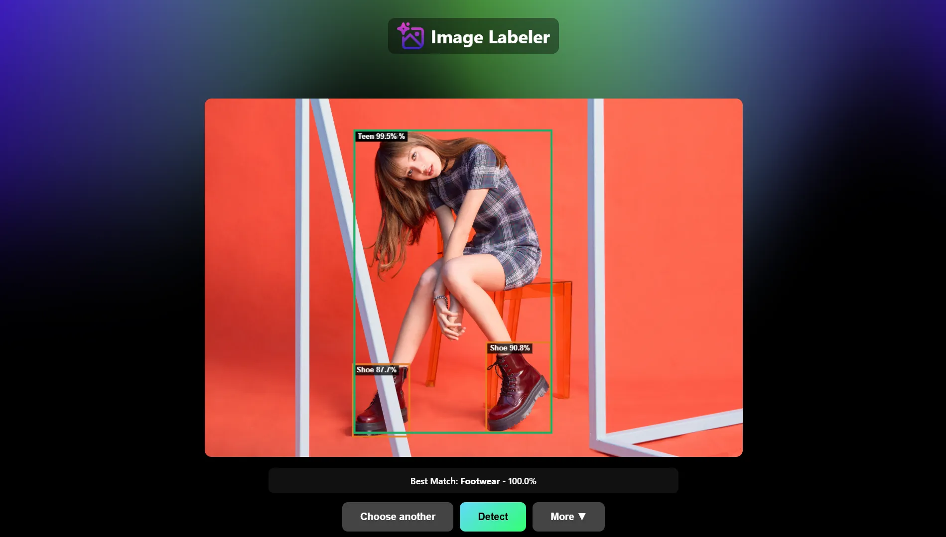 Image Labeler (AWS Rekognition)
